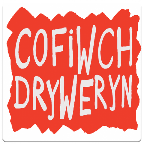 'Cofiwch Dryweryn' Coaster