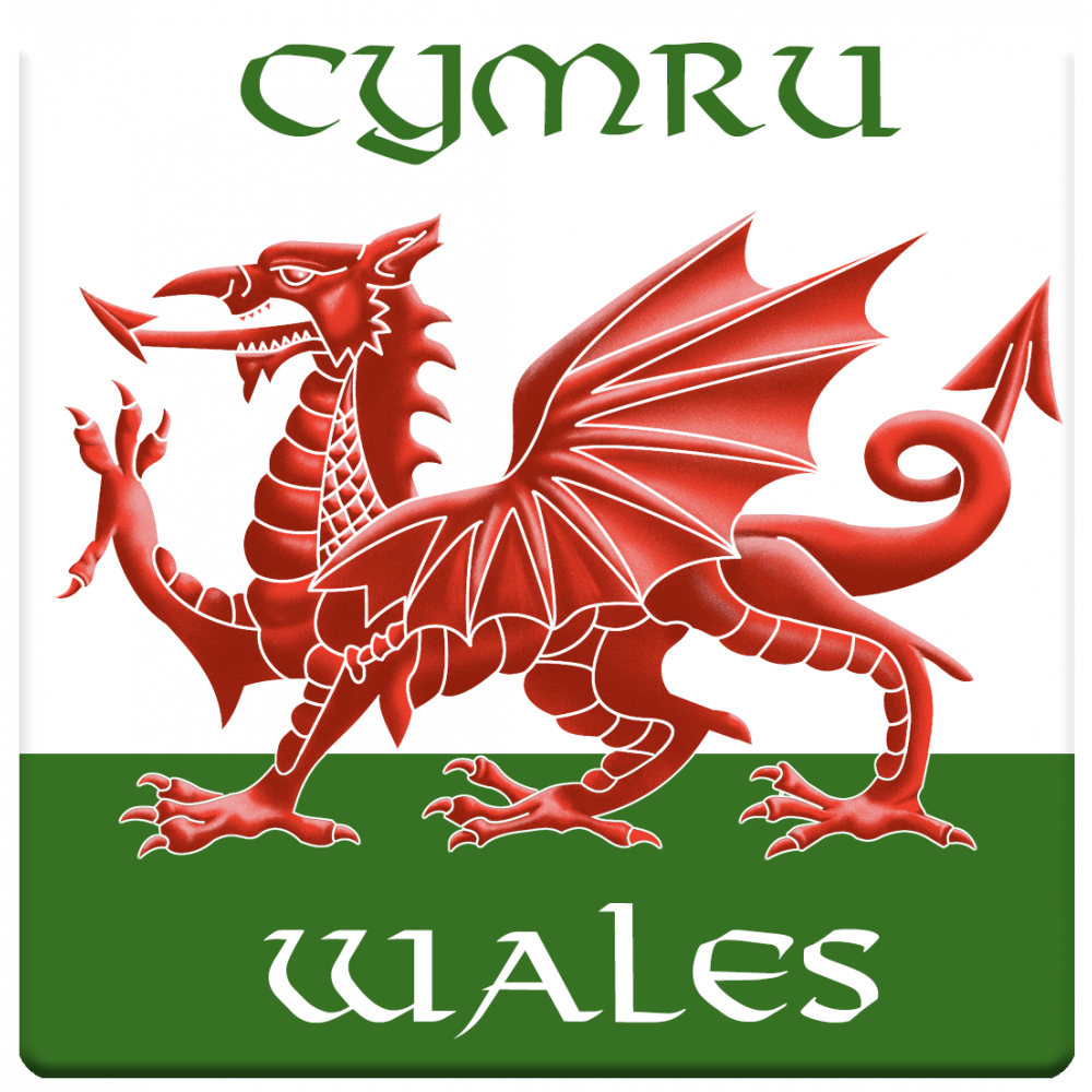 Cymru / Wales Coaster – Cadwyn Cyf