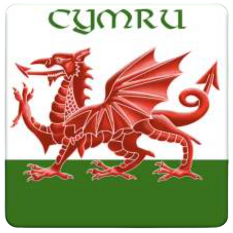 Cymru Red Dragon Coaster