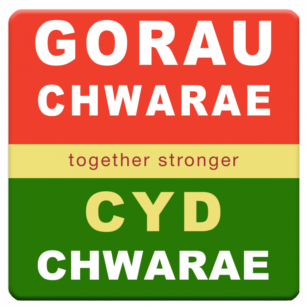 Mat Diod Gorau Chwarae Cyd Chwarae