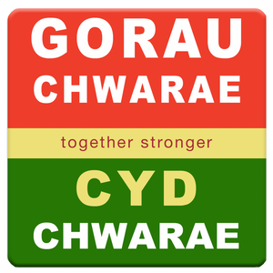 Mat Diod Gorau Chwarae Cyd Chwarae