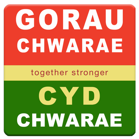 Mat Diod Gorau Chwarae Cyd Chwarae