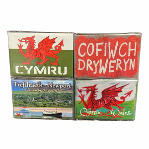 Trefdraeth/Newport Wales Magnet Set - Pack of 4 Magnets