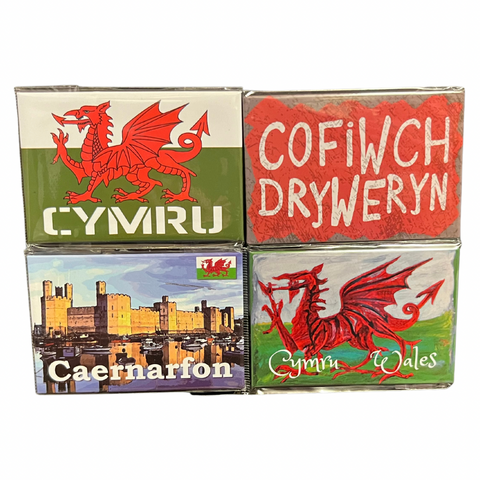 Caernarfon Wales Magnets - Pack of 4 Magnets