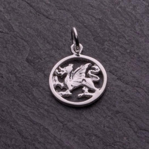 Dragon Pendant Necklace - 50959