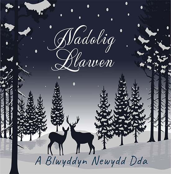 Welsh Christmas Card - "Nadolig Llawen A Blwyddyn Newydd Dda" - NAD013