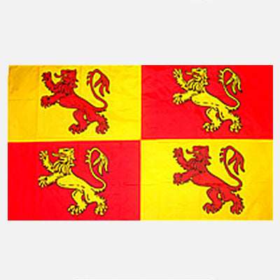 Owain Glyndwr Flag 5' x 3' - 311 - Welsh Flags – Cadwyn Cyf