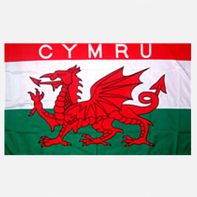 Cymru Flag 5' x 3'